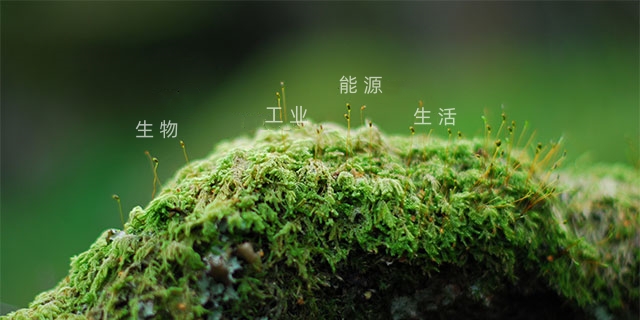 湖南利尔康生物股份有限公司--湖南利尔康|生物酶制剂研发|生物酶制剂产品