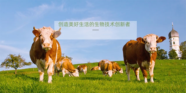 湖南利尔康生物股份有限公司--湖南利尔康|生物酶制剂研发|生物酶制剂产品